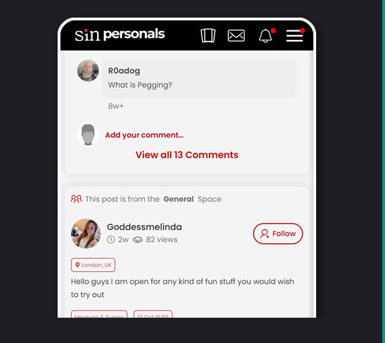 screenshot of the Sin Personals spanking group